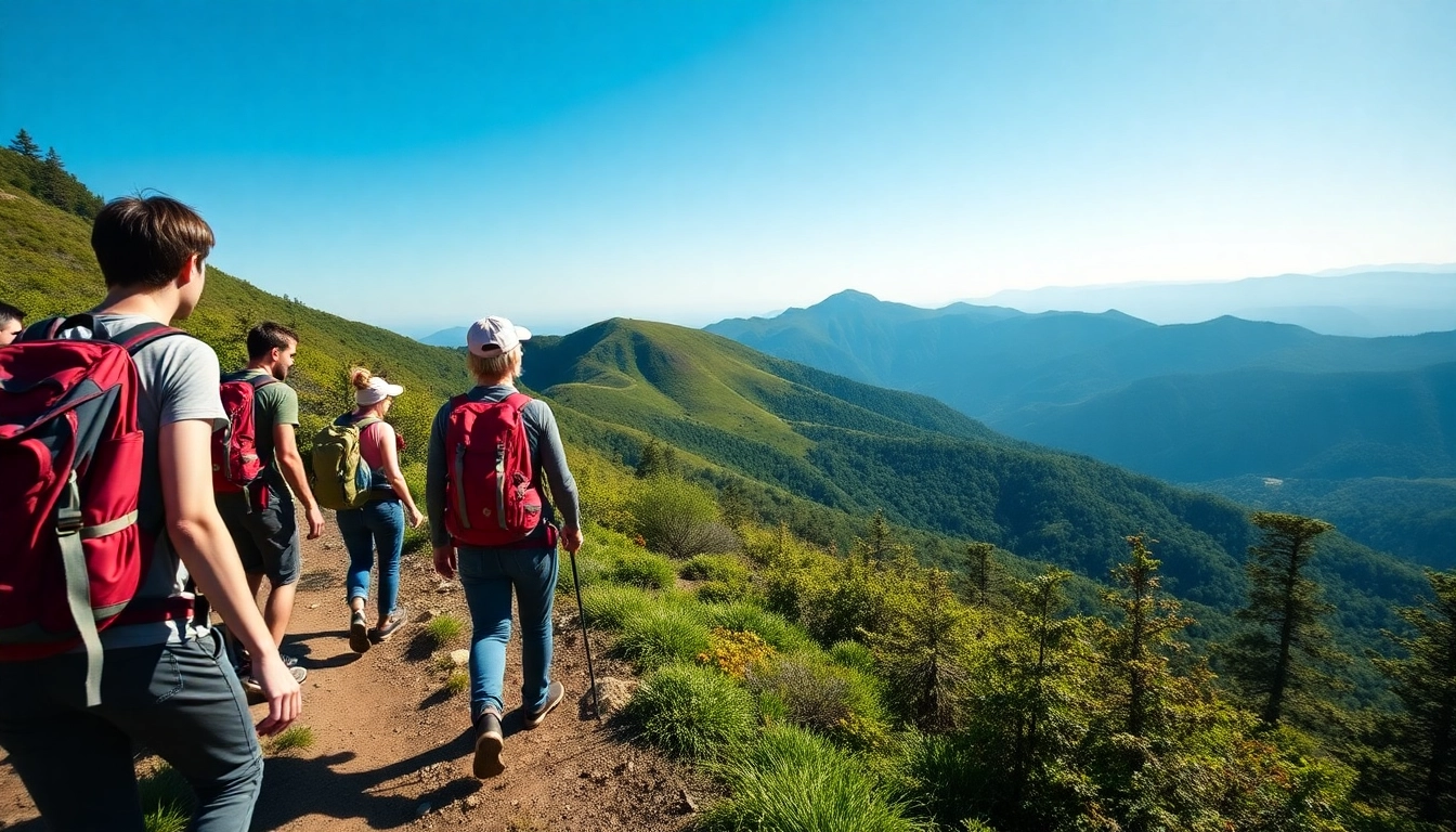 Guided hike through scenic mountain trails featuring a knowledgeable guide leading eager hikers in lush surroundings.